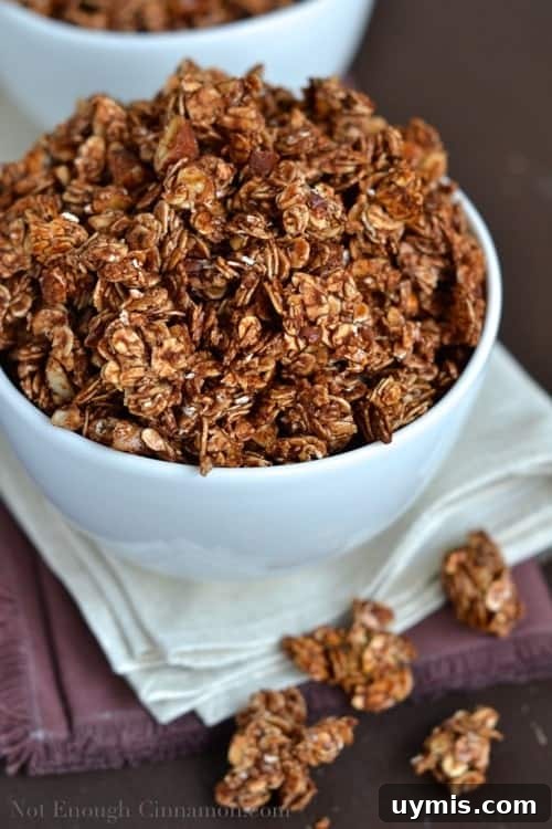 Chocolate Granola with a Secret Ingredient 2 Quick and Easy Chocolate Granola with sweetened condensed milk piled up in a white cup