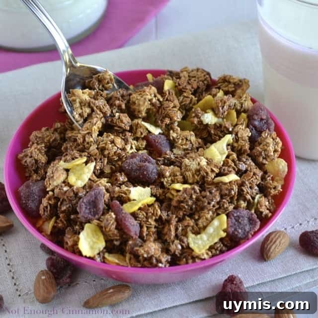 Chocolate Granola with a Secret Ingredient 6 Homemade Granola with raisins and cornflakes