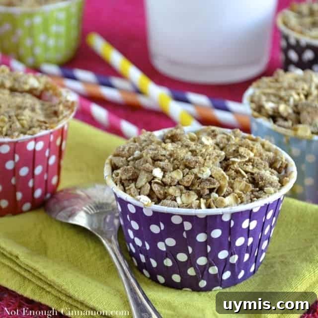 Chocolate Granola with a Secret Ingredient 7 Simple Apricot Crisp served in colorful muffin molds