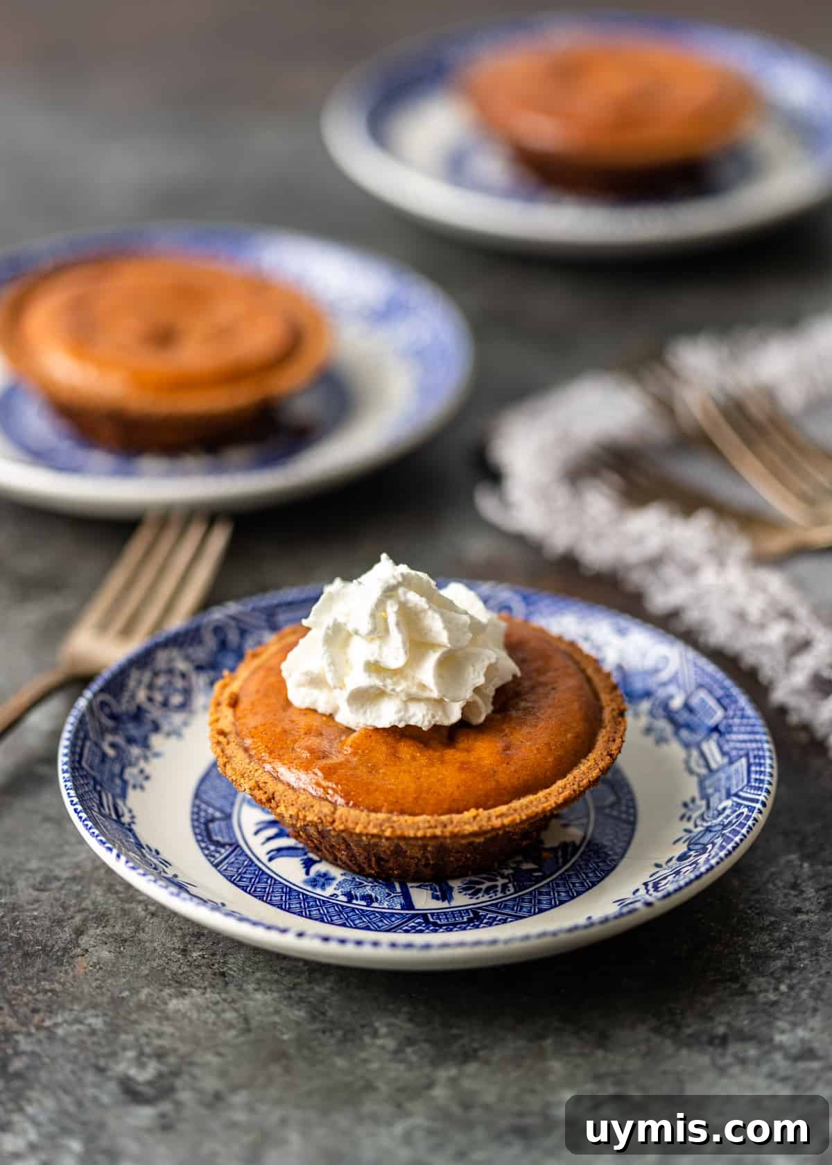 Mini Pumpkin Pies Recipe for Thanksgiving 3 plate with a Mini Pumpkin Pie