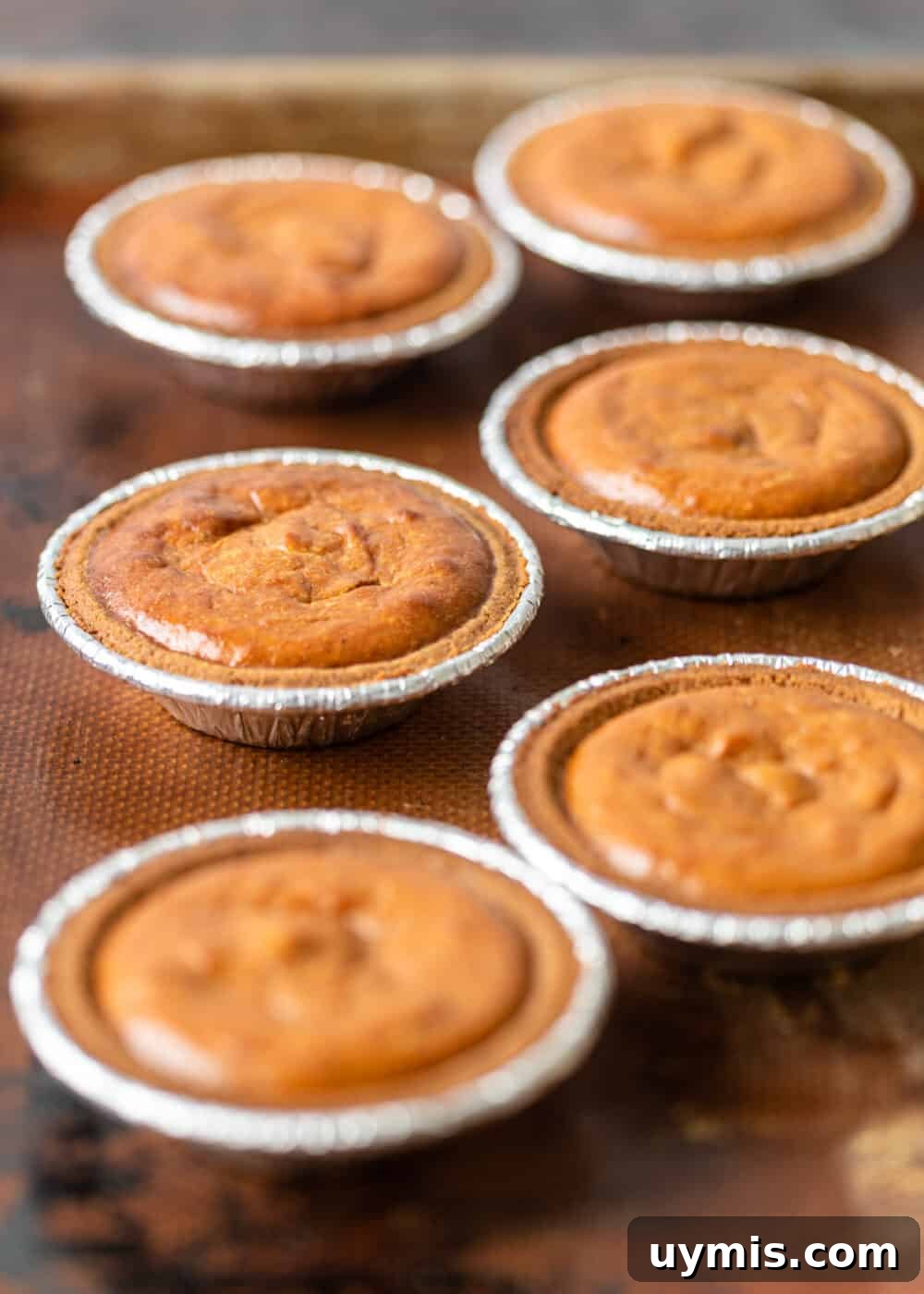 Mini Pumpkin Pies Recipe for Thanksgiving 6 baked mini pumpkin pies