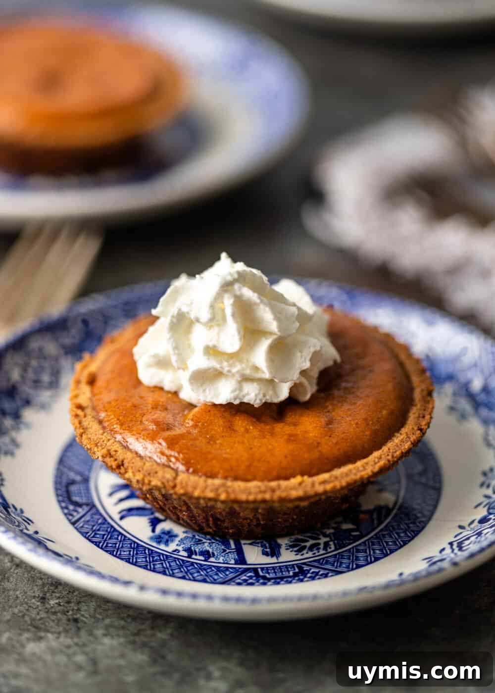 Mini Pumpkin Pies Recipe for Thanksgiving 8 closeup of Mini Pumpkin Pies