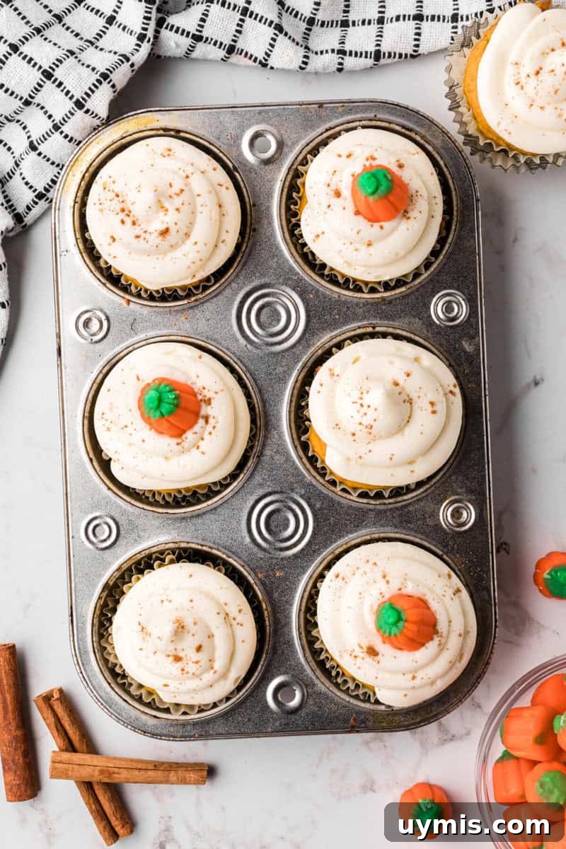 Moist Pumpkin Cupcakes with Cinnamon Cream Cheese Frosting 14 decorated pumpkin cupcakes in the cupcake pan.