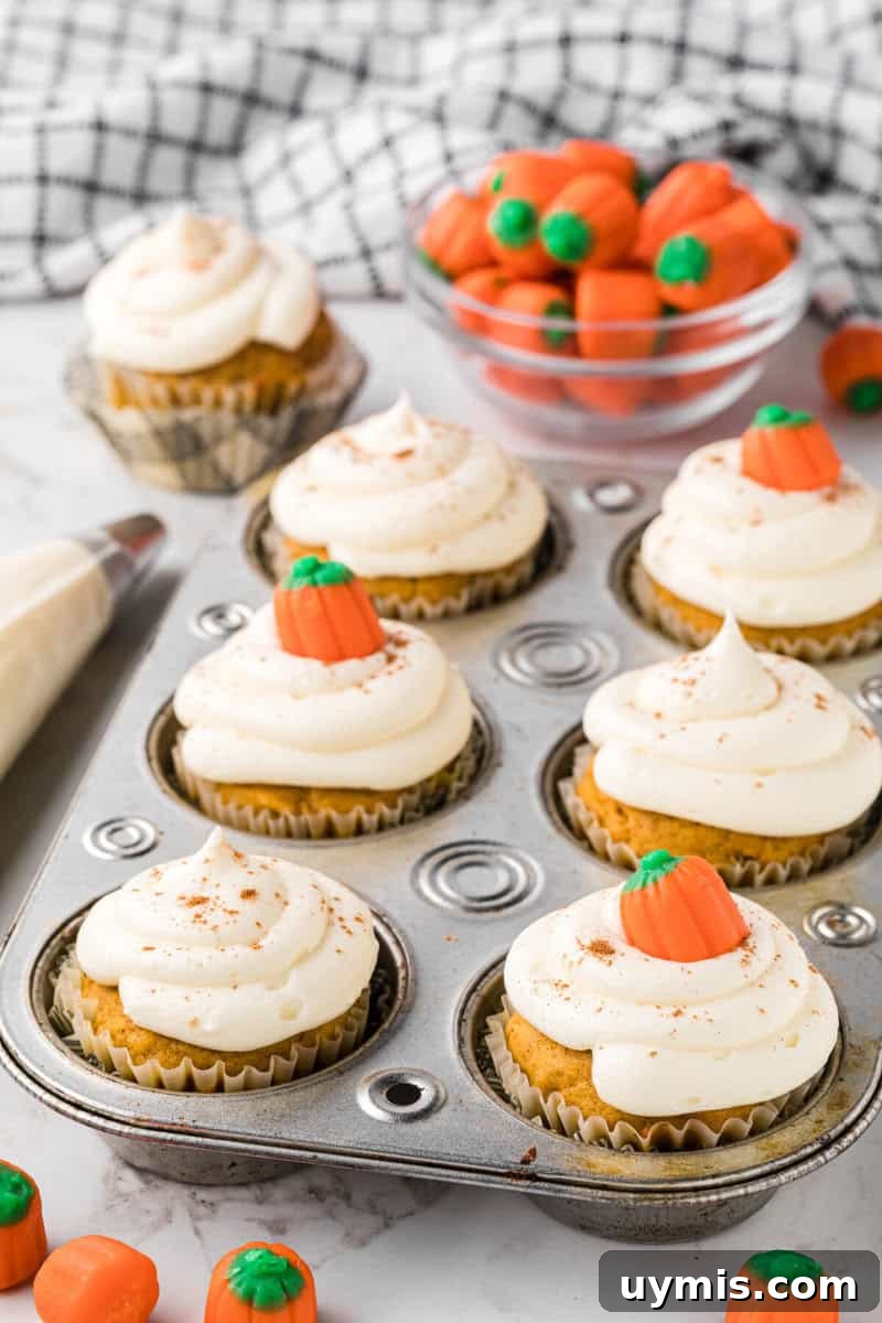Moist Pumpkin Cupcakes with Cinnamon Cream Cheese Frosting 15 closeup of the decorated pumpkin cupcakes.