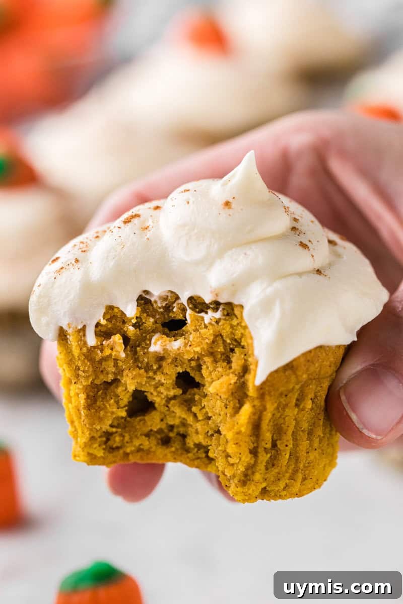Moist Pumpkin Cupcakes with Cinnamon Cream Cheese Frosting 17 closeup of a pumpkin cupcake with a bite taken out of it.