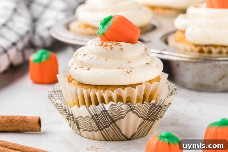 Moist Pumpkin Cupcakes with Cinnamon Cream Cheese Frosting 4 closeup of a pumpkin cupcake.