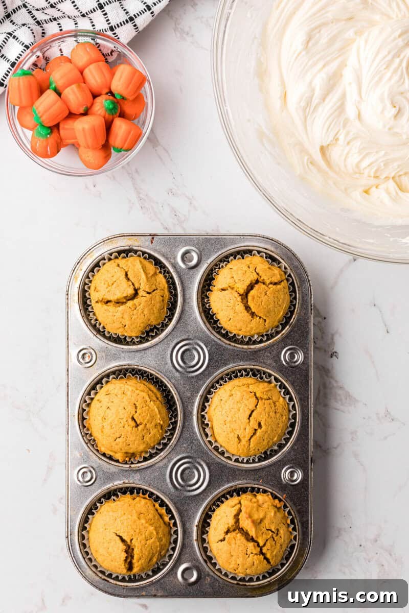 Moist Pumpkin Cupcakes with Cinnamon Cream Cheese Frosting 10 baked pumpkin cupcakes in the cupcake pan.