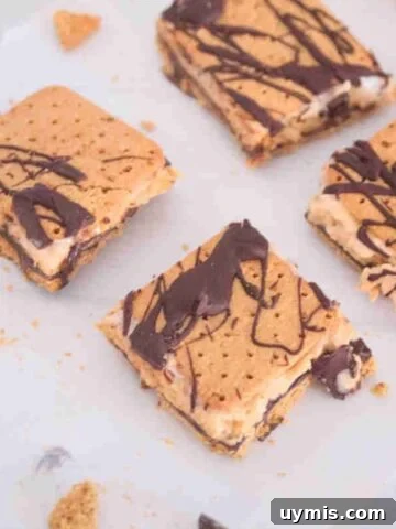 frozen protein s'mores with chocolate drizzle