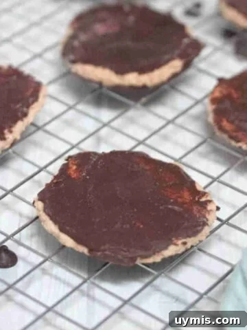 Chocolate coated protein thin mint cookies on a wire rack.