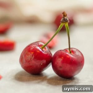 a pair of cherries joined at the top