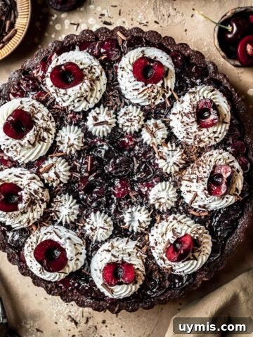 A chocolate cherry tart with piped whipped cream swirls, cherry halves, and chocolate shavings.