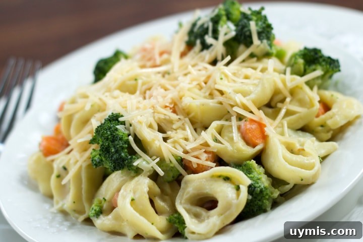 Creamy Vegetable Tortellini Alfredo Recipe 2 Plate of cooked tortellini and Alfredo sauce with broccoli and carrots garnished with shredded Parmesan cheese