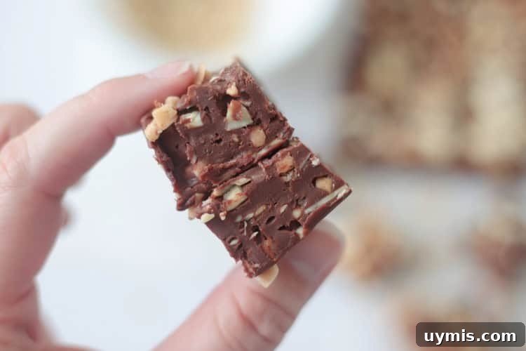 fingers holding two squares of fudge