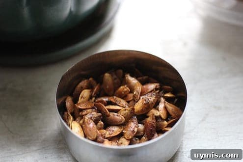 Masala Roasted Pumpkin Seeds Pepitas