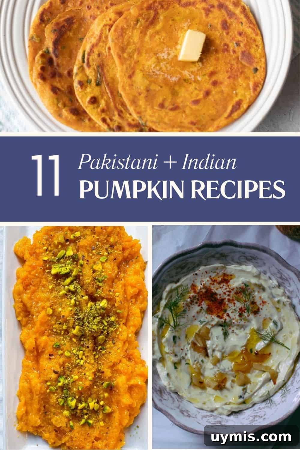 11 of the BEST Pakistani + Indian Pumpkin Recipes