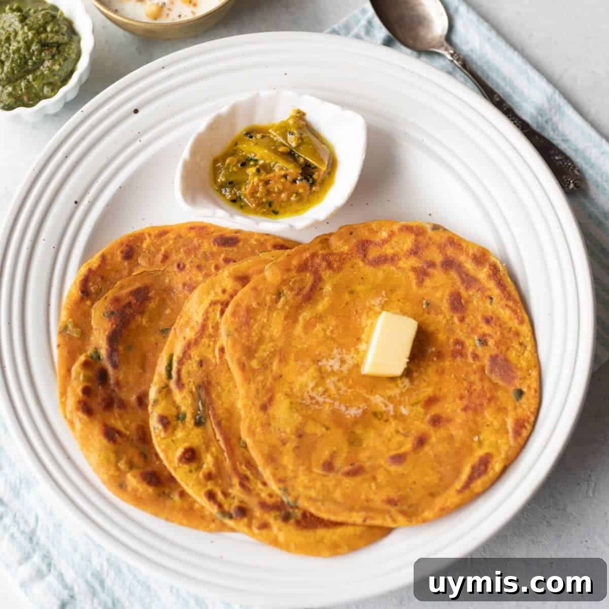 Pumpkin Paratha