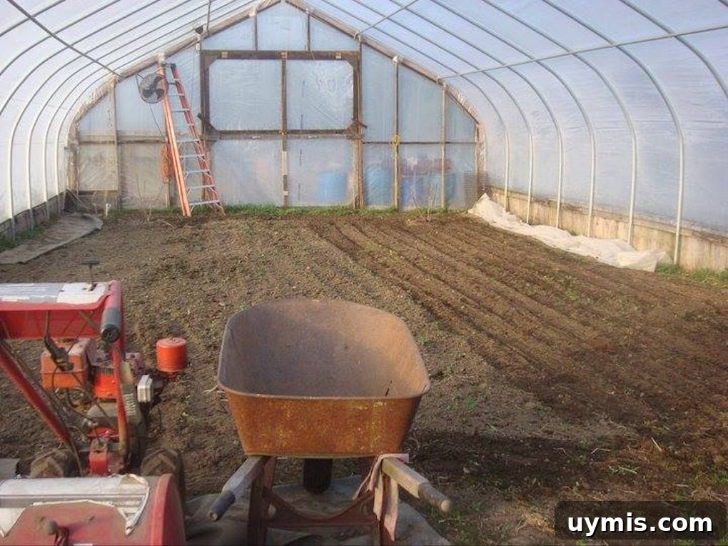Plan Your Garden: When to Buy Seeds and Start Planting 2 Empty greenhouse
