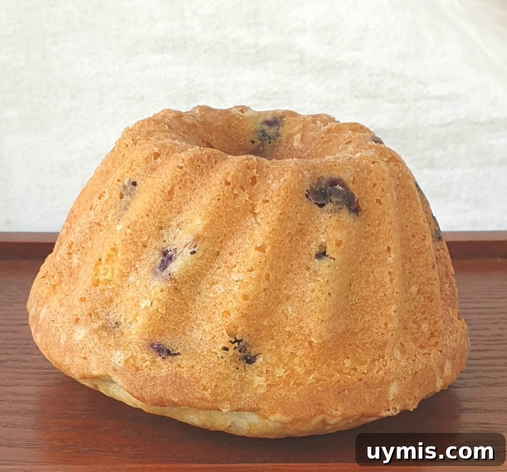 Lemon Blueberry Cake Recipe with Fresh Berries 2 lemon blueberry bundt cake