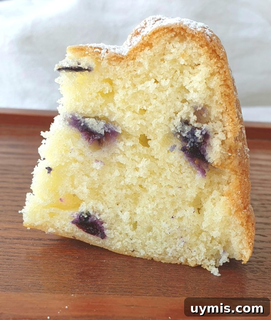 Lemon Blueberry Cake Recipe with Fresh Berries 3 slice of lemon blueberry bundt cake
