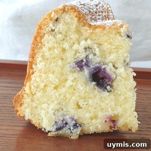 Lemon Blueberry Cake Recipe with Fresh Berries 4 lemon blueberry bundt cake recipe