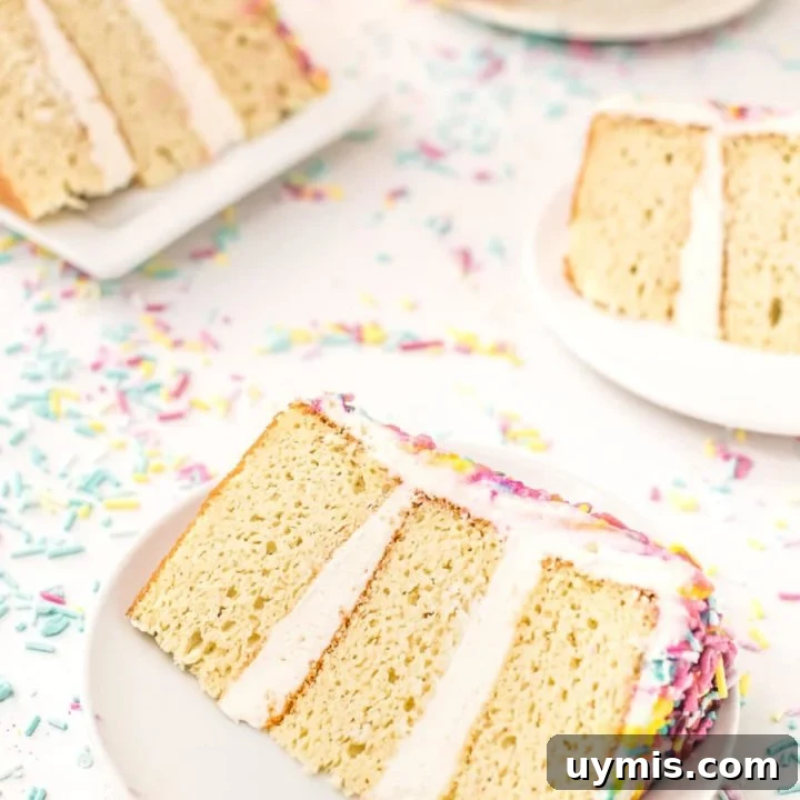 Make A Sugar-Free Birthday Cake Everyone Will Love