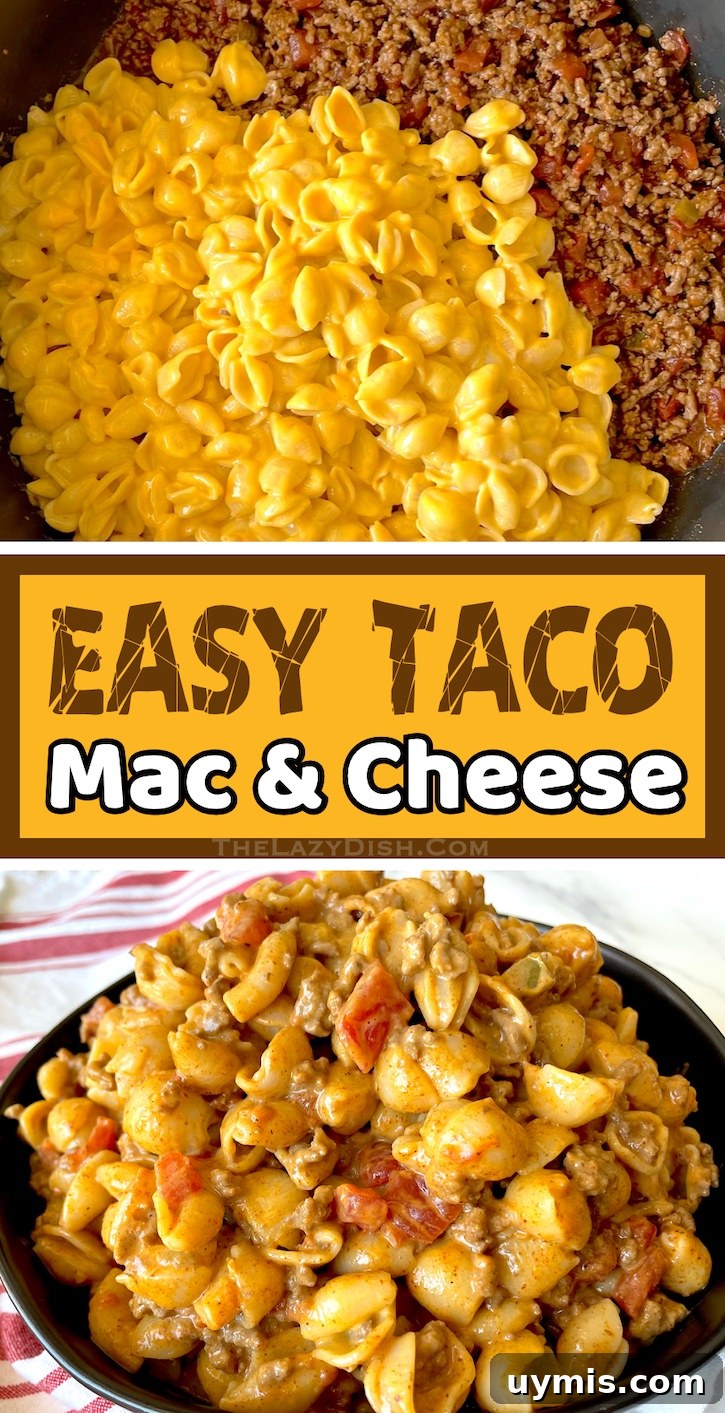 Taco Macaroni and Cheese Skillet Dinner 15 Simple ground beef pasta dinner with boxed macaroni and cheese.