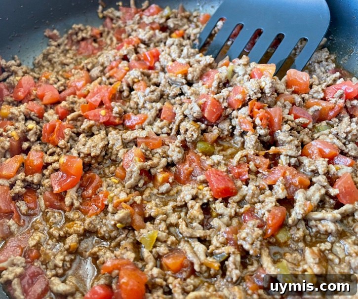 Taco Macaroni and Cheese Skillet Dinner 6 Ground beef simmering with taco seasoning and diced tomatoes with green chilies.