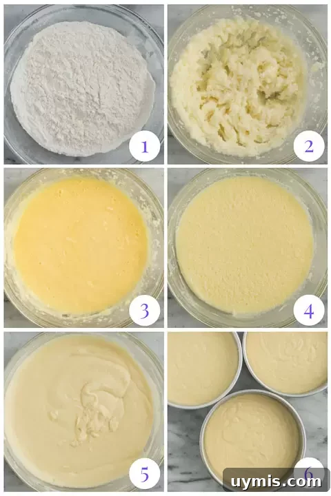 Lemon Coconut Cake with Creamy Coconut Frosting 3 how to make coconut cake step by step