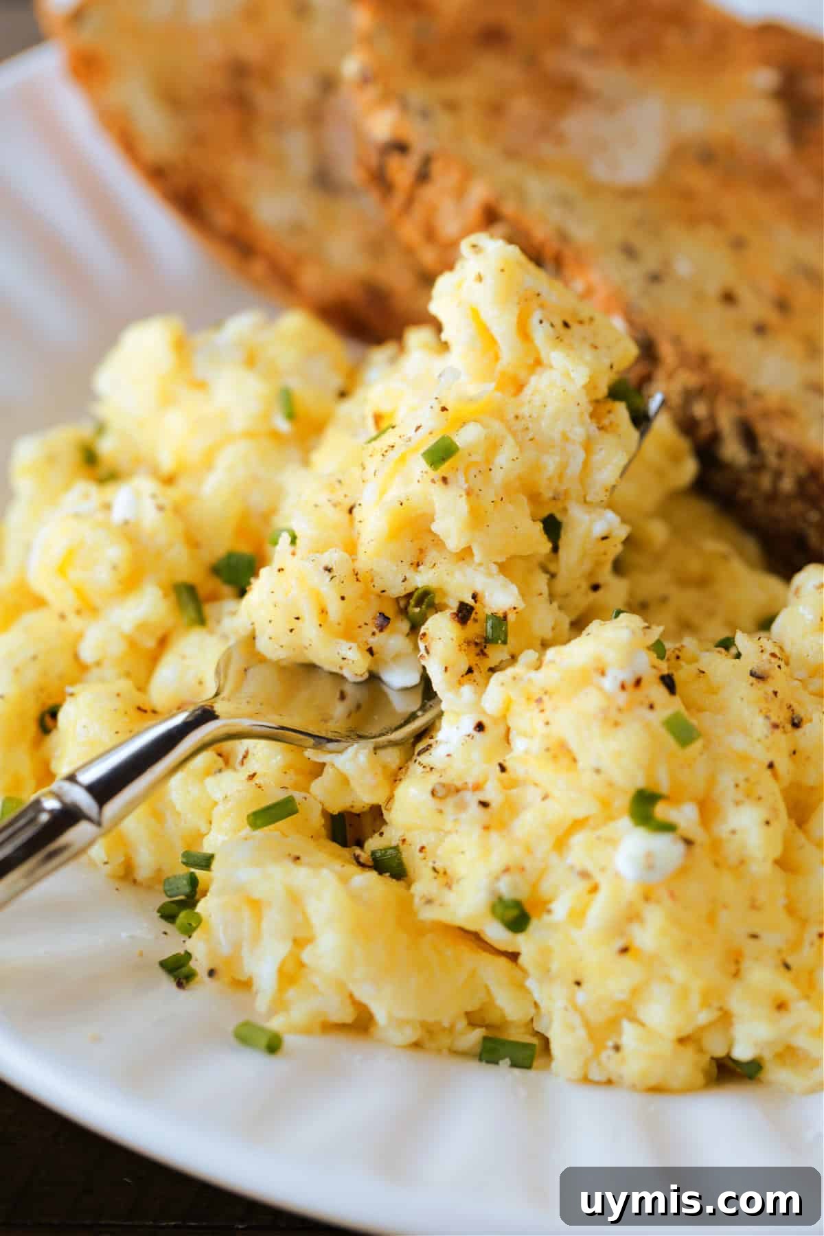 scrambled eggs on a plate with toast and a fork