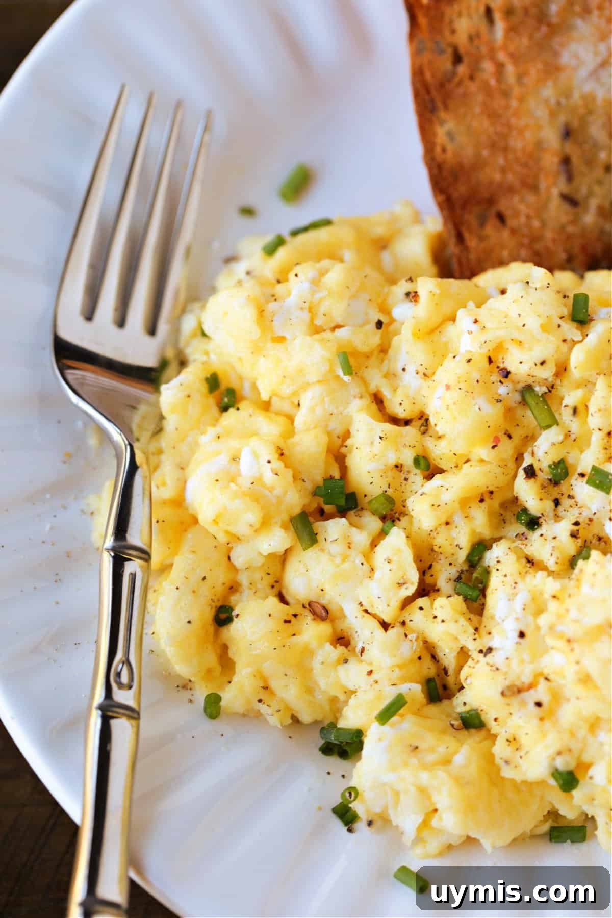 scrambled eggs on a plate with fork on the side