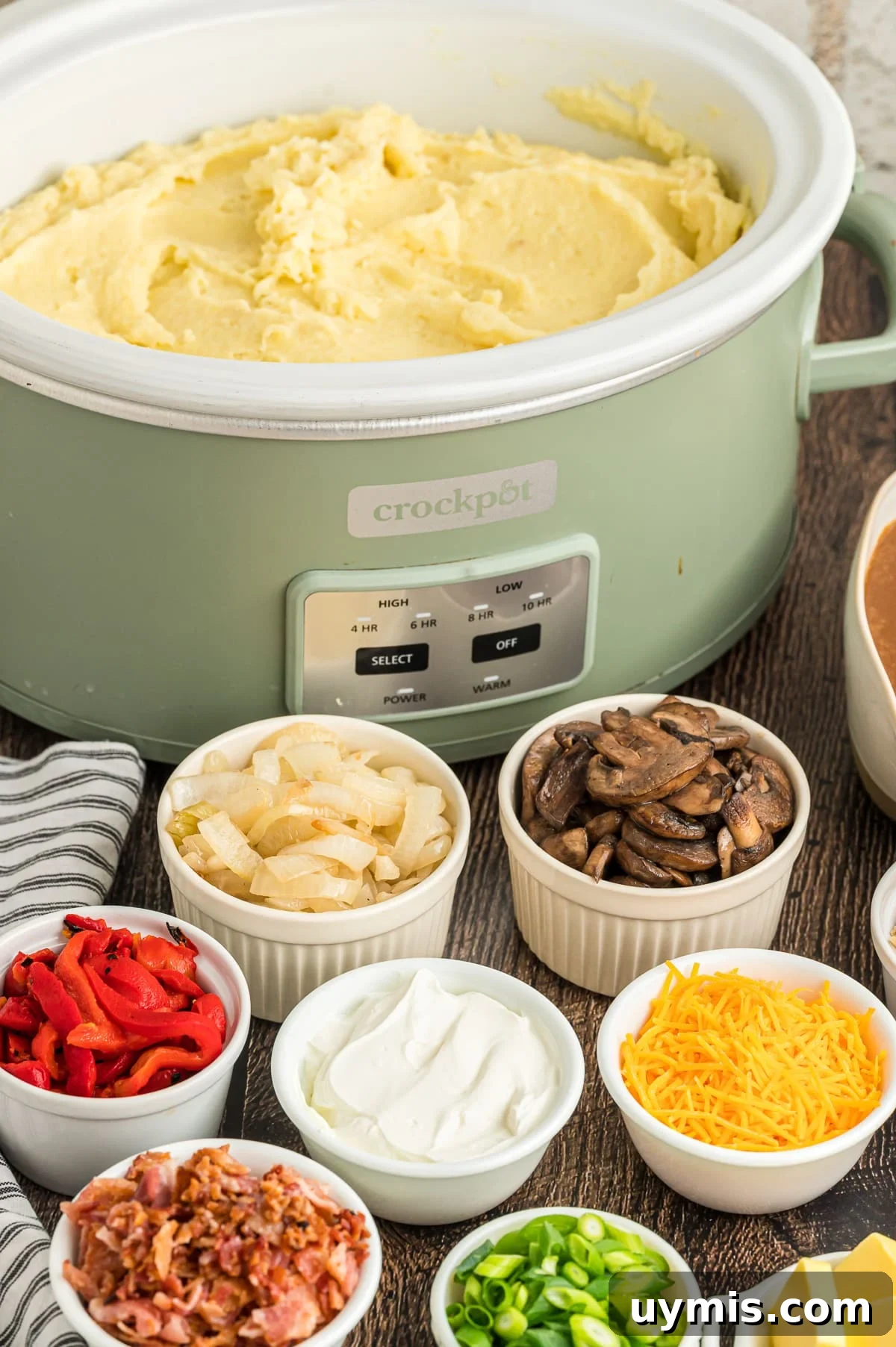 Mashed potatoes in a crockpot with toppings around it