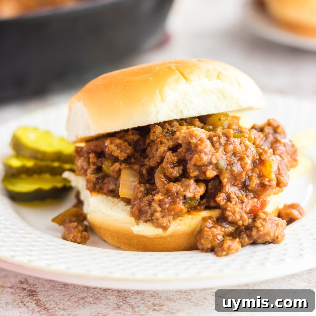 Old Fashioned Sloppy Joes Recipe 13 Closeup of a sloppy joe.