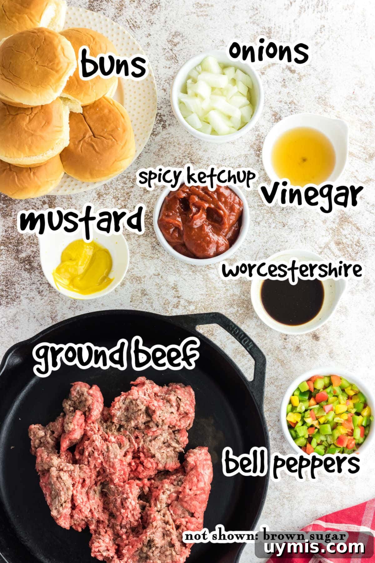 Old Fashioned Sloppy Joes Recipe 3 Labeled Ingredients for Sloppy Joes