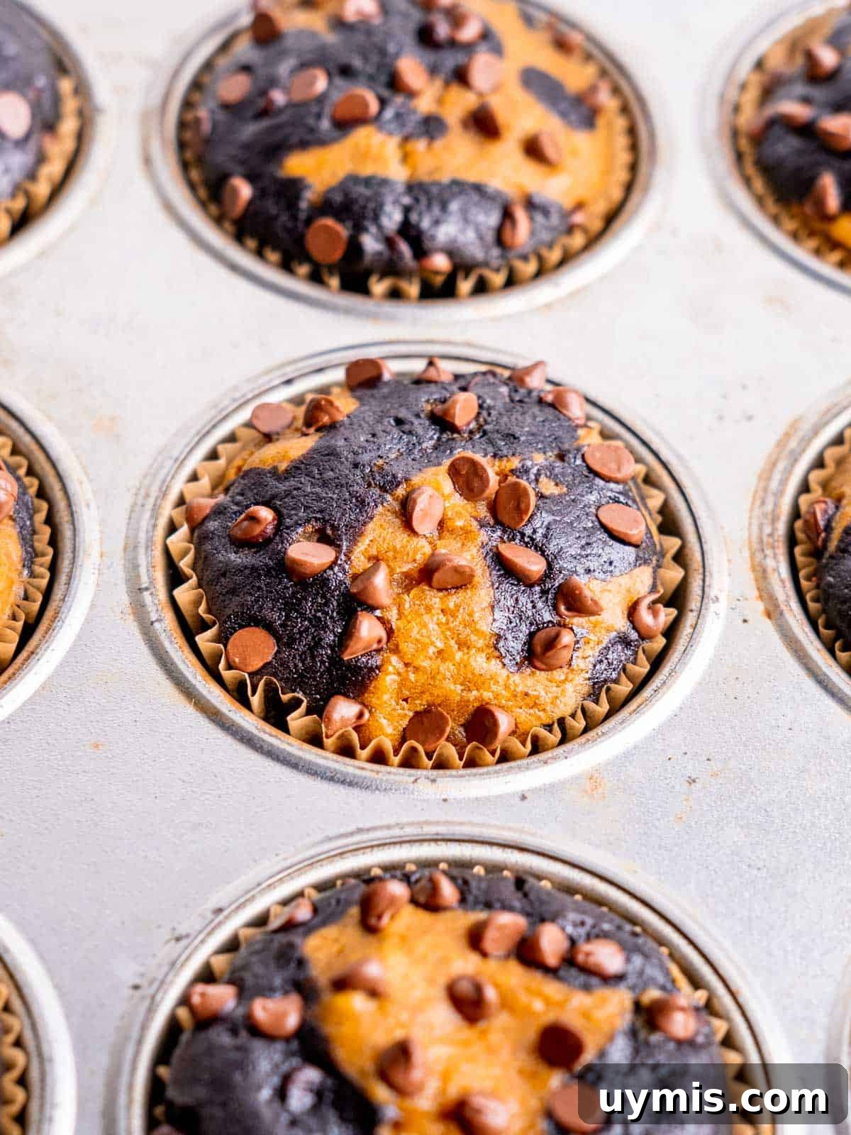Baked double chocolate pumpkin muffins in a muffin pan.
