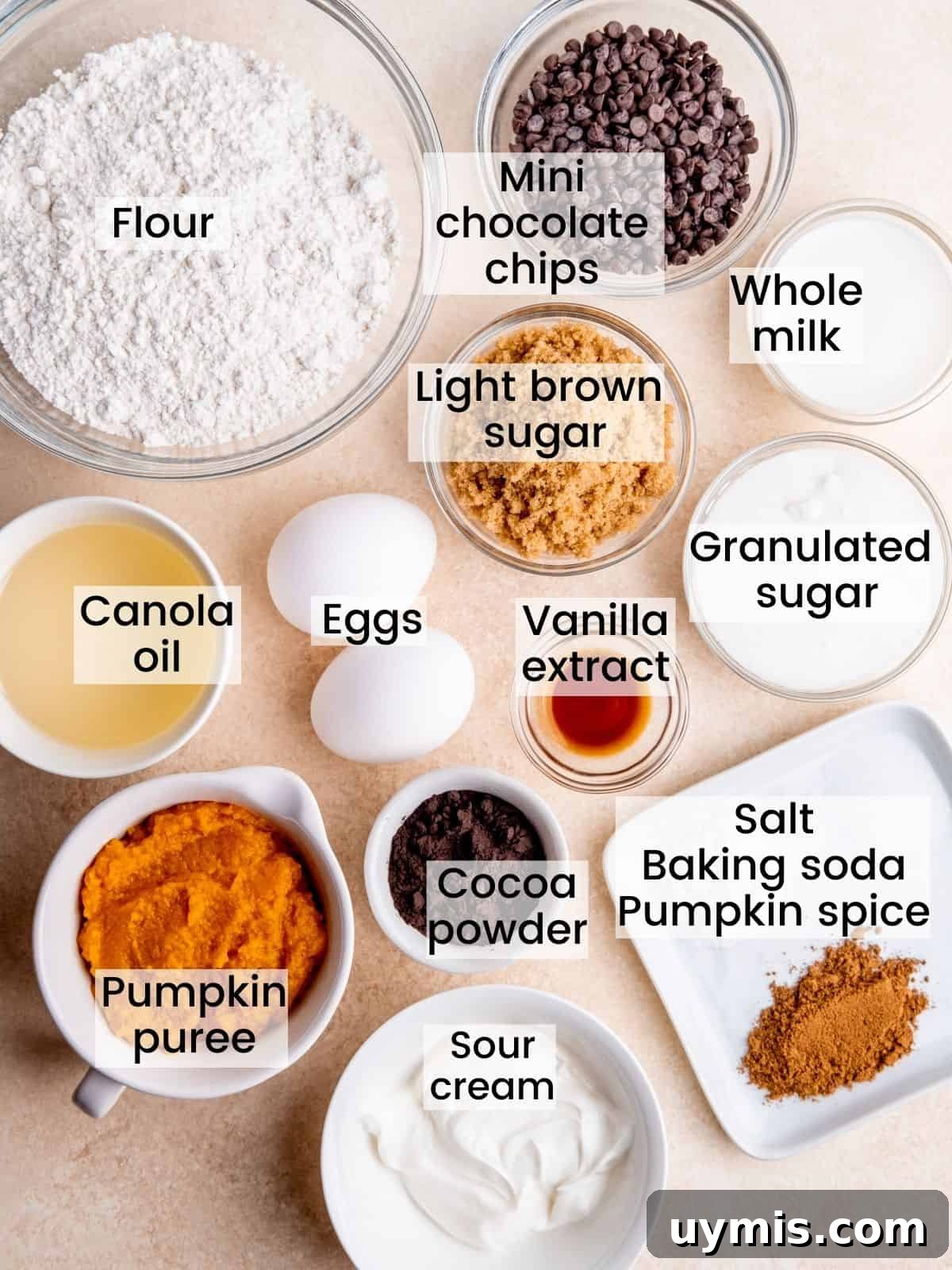 Ingredients needed to make double chocolate pumpkin muffins.