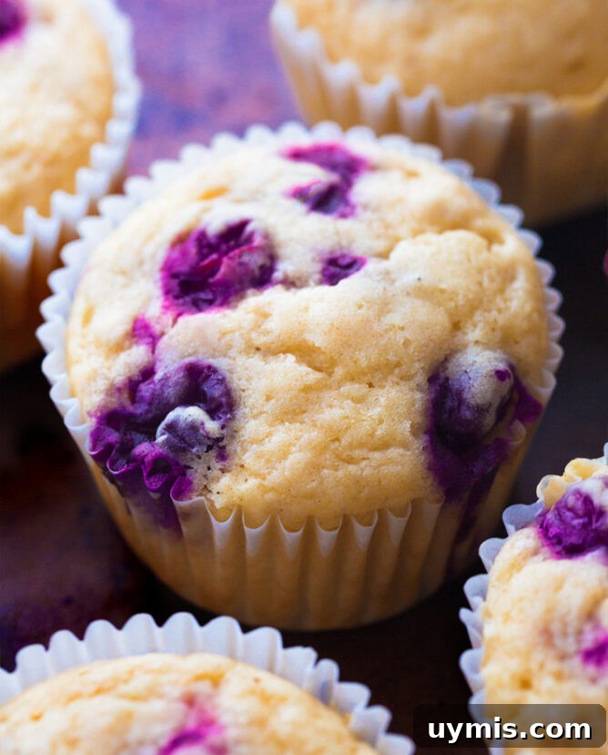 Fresh Peach Crisp with Oat Crumble Topping 5 Easy Vegan Blueberry Muffins