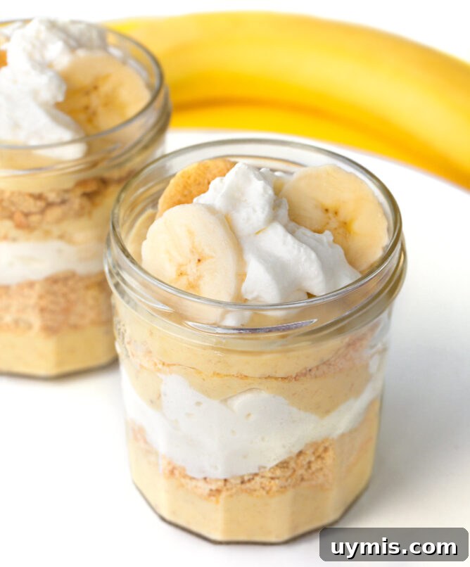 Fresh Peach Crisp with Oat Crumble Topping 6 The Best Creamy Vegan Banana Pudding