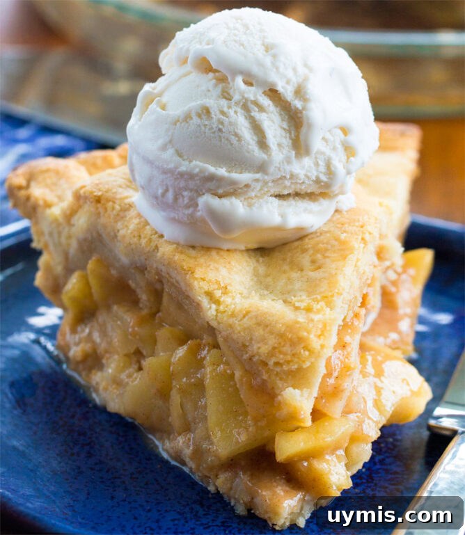 Fresh Peach Crisp with Oat Crumble Topping 8 The Best Vegan Apple Pie