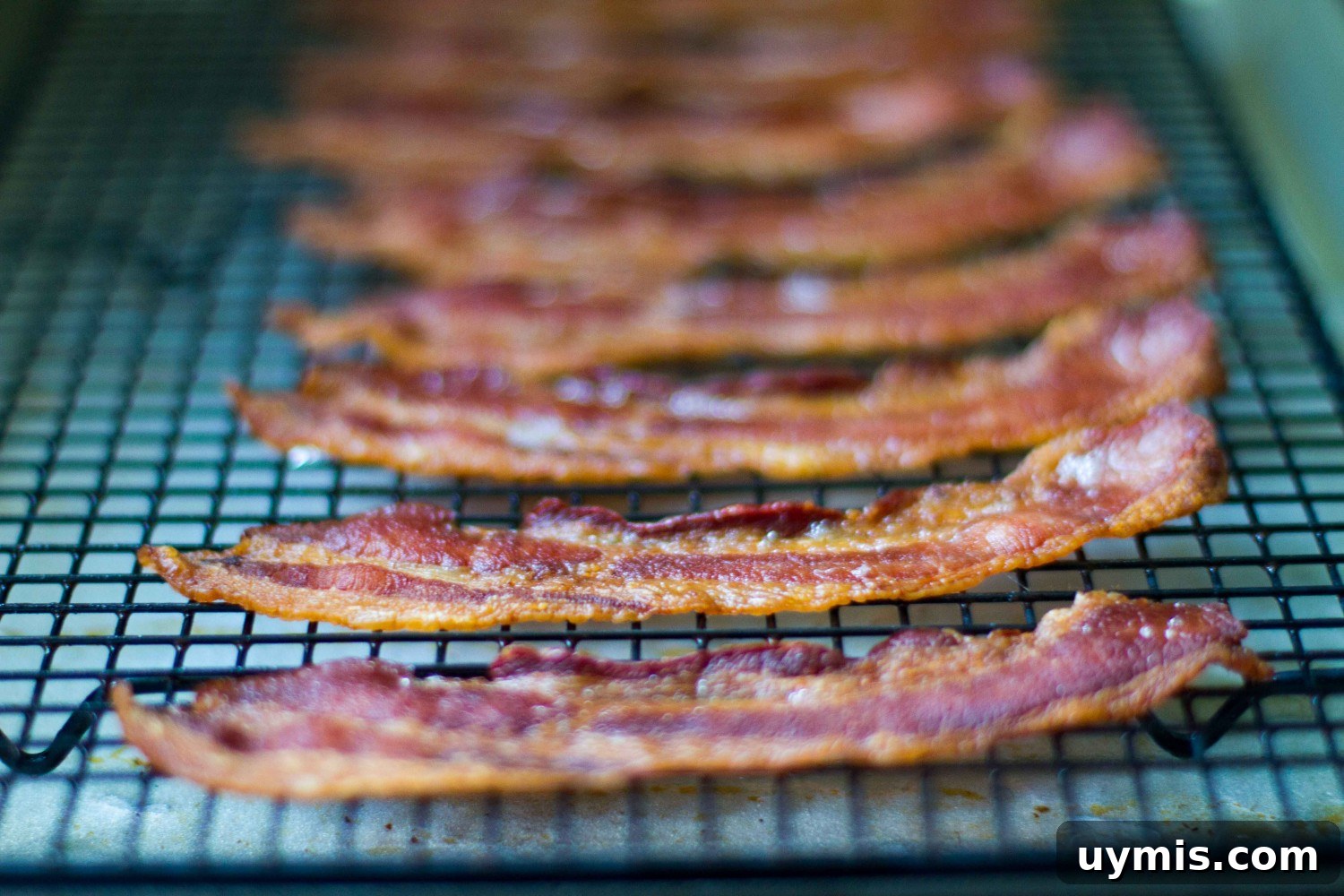 How to Bake Bacon in the Oven for Crispy, Even Slices 10 how to bake bacon in the oven