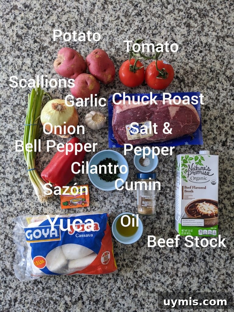 Colombian Beef Stew (Sudado de Res) Recipe 5 Ingredients for sudado