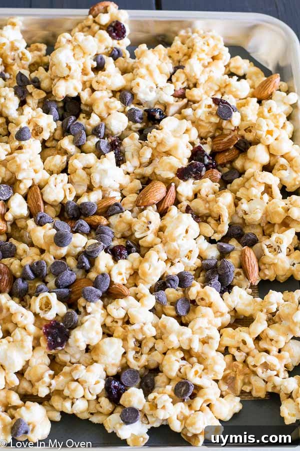 Trail Mix Popcorn Recipe with Nuts and Chocolate 5 img 7329 5