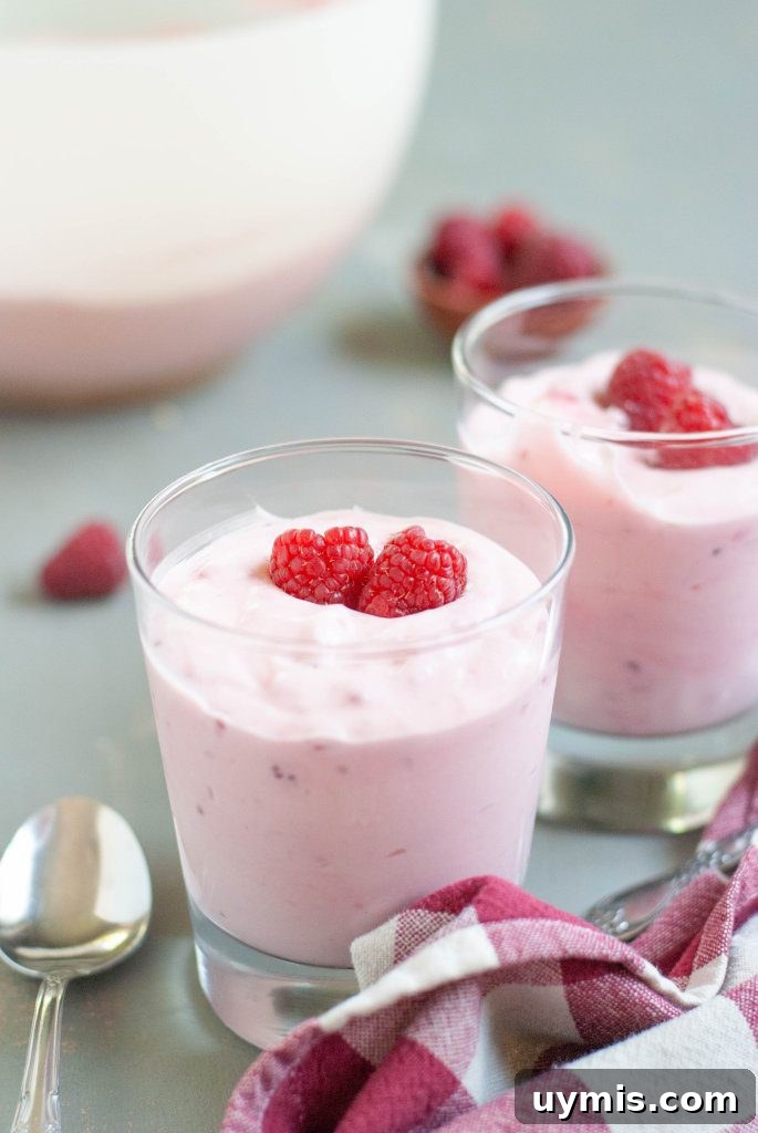 Dairy Free Raspberry Fluff Recipe with Video 6 vegan-raspberry-fluff