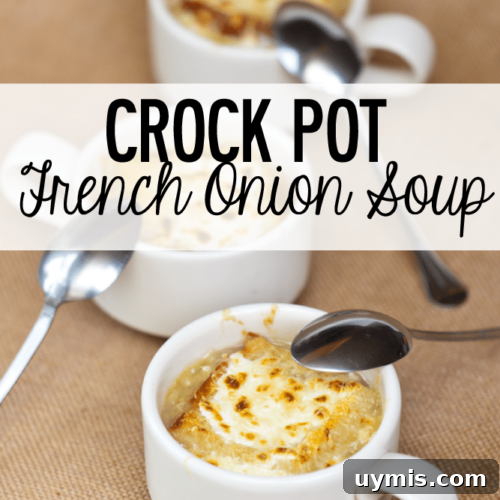 Bowl of slow cooked French onion soup