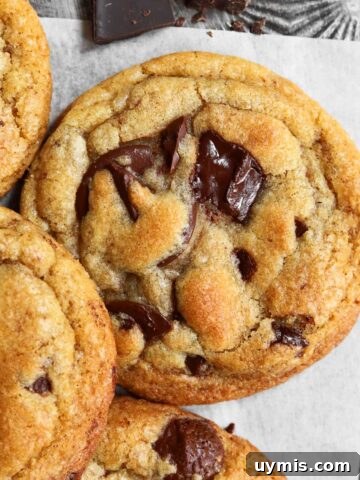 brown butter chocolate chip cookies