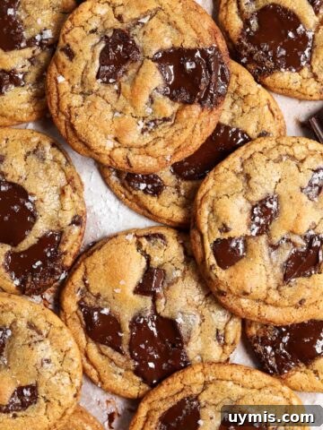 bakery style chocolate chip cookies