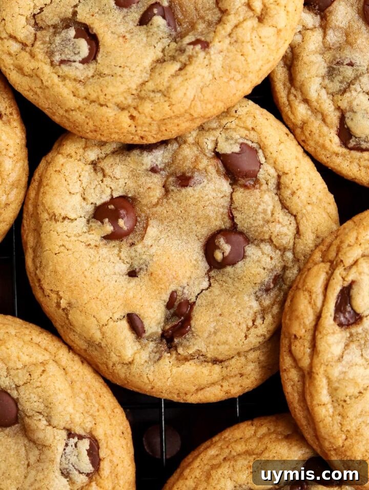 No-Chill Chocolate Chip Cookie Recipe 9 close up of no chill brown butter chocolate chip cookies