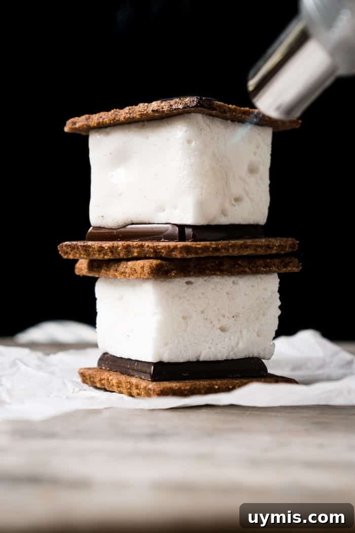 Ultra-Fluffy Low-Carb Keto Marshmallows Recipe 8 3-Ingredient Sugar Free, Paleo & Keto Marshmallow S'mores