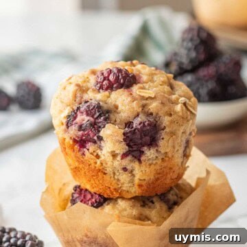 Banana Blackberry Oatmeal Muffins with Rolled Oats 11 Banana Blackberry Oatmeal Muffins
