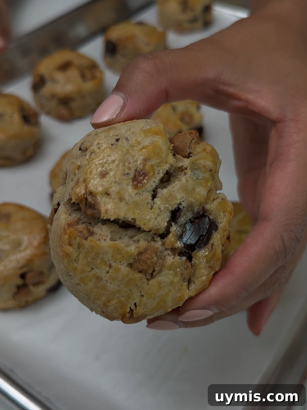 Salted Caramel Chocolate Walnut Scones Recipe - Kylie's Birthday 2 Tray of cinnamon, salted caramel, chocolate, and walnut scones