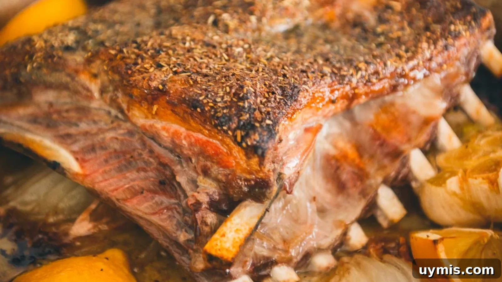 21 Elegant Easter Main Courses for a Stunning Holiday Table 12 Oven roasted lamb ribs golden and caramelized arranged beside herbs.